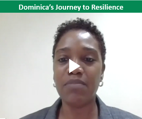 journey resilience image.png